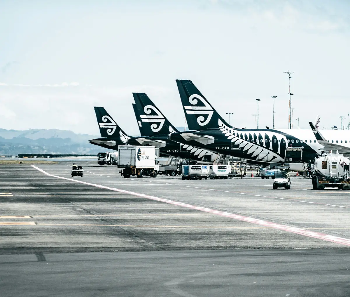 Three Air New Zealand planes lined up at the airport to collect passsengers
